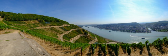 Bingen Rhein Panorama-1.jpg